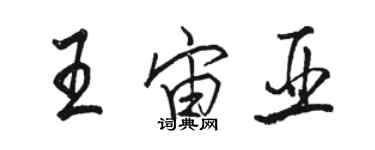 駱恆光王宙亞行書個性簽名怎么寫