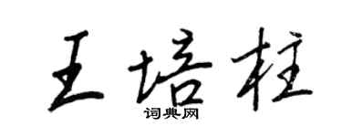 王正良王培柱行書個性簽名怎么寫