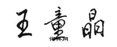 駱恆光王童晶行書個性簽名怎么寫