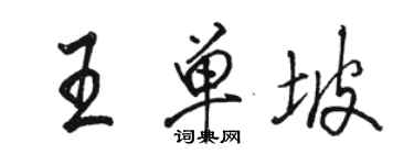 駱恆光王單坡行書個性簽名怎么寫