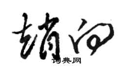 駱恆光趙向草書個性簽名怎么寫