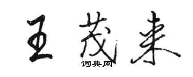 駱恆光王茂來行書個性簽名怎么寫
