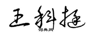 曾慶福王科挺草書個性簽名怎么寫