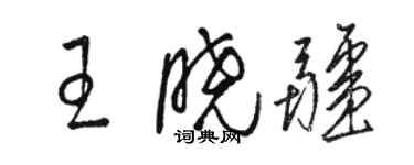 駱恆光王曉疆草書個性簽名怎么寫