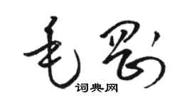 駱恆光毛剛草書個性簽名怎么寫