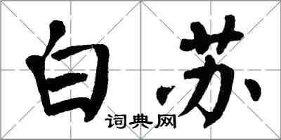 翁闓運白蘇楷書怎么寫