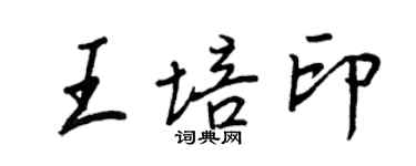 王正良王培印行書個性簽名怎么寫