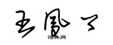 朱錫榮王鳳卿草書個性簽名怎么寫