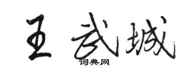 駱恆光王武城行書個性簽名怎么寫