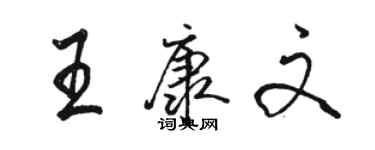 駱恆光王康文行書個性簽名怎么寫