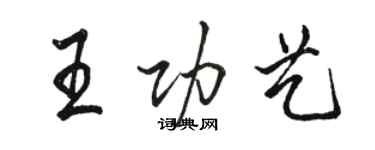 駱恆光王功藝行書個性簽名怎么寫