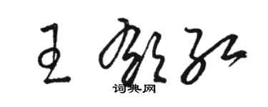 駱恆光王郁紅草書個性簽名怎么寫