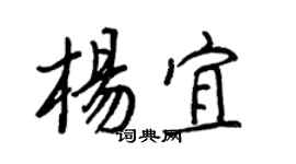 王正良楊宜行書個性簽名怎么寫