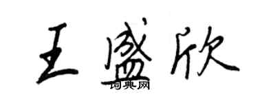 王正良王盛欣行書個性簽名怎么寫