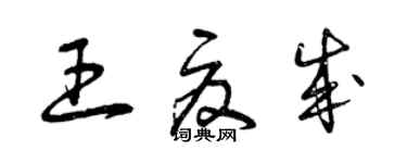 曾慶福王夏成草書個性簽名怎么寫