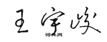 駱恆光王宇峻草書個性簽名怎么寫