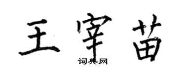 何伯昌王宰苗楷書個性簽名怎么寫