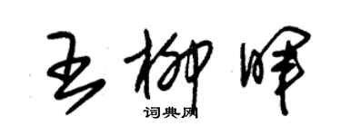 朱錫榮王柳暉草書個性簽名怎么寫