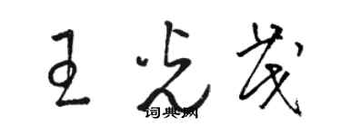 駱恆光王光茂草書個性簽名怎么寫