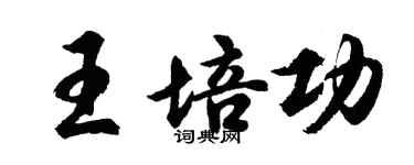 胡問遂王培功行書個性簽名怎么寫