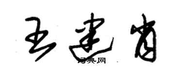 朱錫榮王建肖草書個性簽名怎么寫