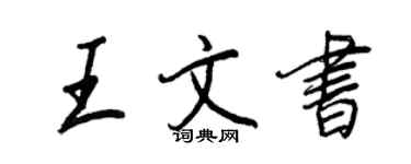 王正良王文書行書個性簽名怎么寫