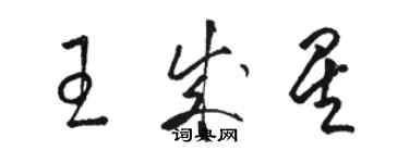 駱恆光王成星草書個性簽名怎么寫