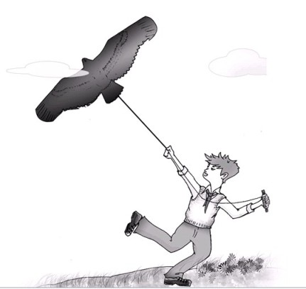 風箏趣_風箏趣作文