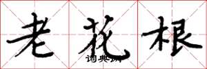 周炳元老花根楷書怎么寫