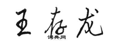 駱恆光王存龍行書個性簽名怎么寫