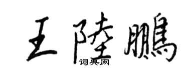 王正良王陸鵬行書個性簽名怎么寫