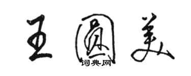 駱恆光王圓美行書個性簽名怎么寫