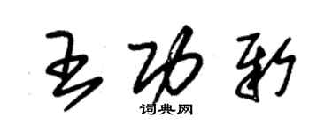 朱錫榮王功新草書個性簽名怎么寫