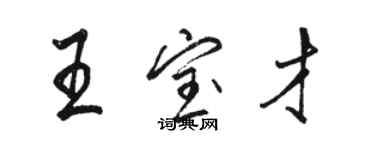 駱恆光王寶才行書個性簽名怎么寫