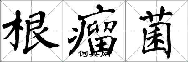 翁闓運根瘤菌楷書怎么寫