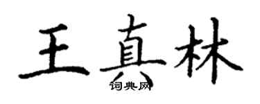 丁謙王真林楷書個性簽名怎么寫
