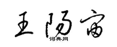 梁錦英王陽宙草書個性簽名怎么寫