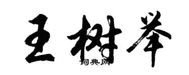 胡問遂王樹舉行書個性簽名怎么寫