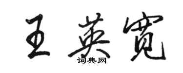 駱恆光王英寬行書個性簽名怎么寫