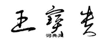 曾慶福王寶貴草書個性簽名怎么寫