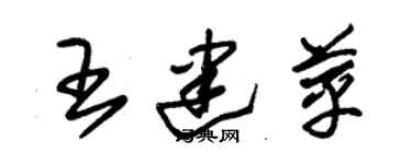 朱錫榮王建苹草書個性簽名怎么寫