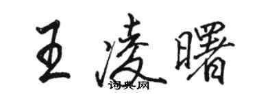 駱恆光王凌曙行書個性簽名怎么寫