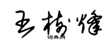 朱錫榮王樹烽草書個性簽名怎么寫