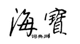 王正良海寶行書個性簽名怎么寫