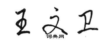 駱恆光王文衛行書個性簽名怎么寫