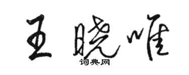 駱恆光王曉唯行書個性簽名怎么寫