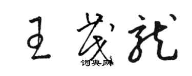 駱恆光王茂龍草書個性簽名怎么寫