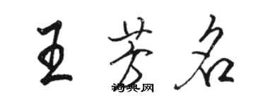 駱恆光王芳名行書個性簽名怎么寫