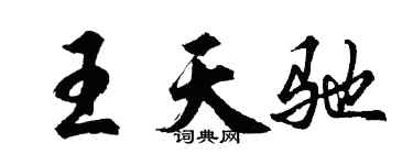 胡問遂王天馳行書個性簽名怎么寫