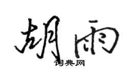 駱恆光胡雨行書個性簽名怎么寫